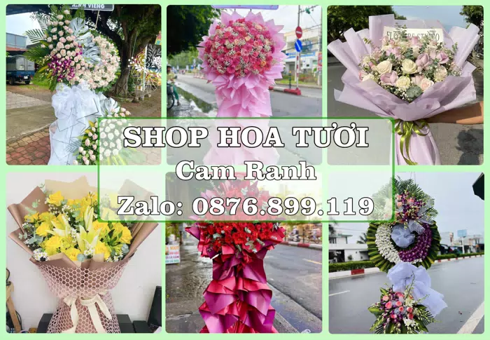 Shop hoa tươi tại Cam Ranh – Tư vấn hoa và trái cây theo ngân sách · ảnh 1