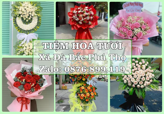 Shop hoa tươi tại Xã Đà Bắc Phú Thọ – Gửi lời quan tâm bằng hoa và trái cây · ảnh 1