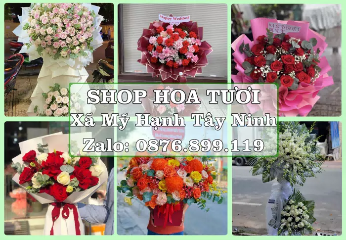 Shop hoa tươi tại Xã Mỹ Hạnh Tây Ninh – Từ bó hoa tặng đến giỏ trái cây biếu · ảnh 1