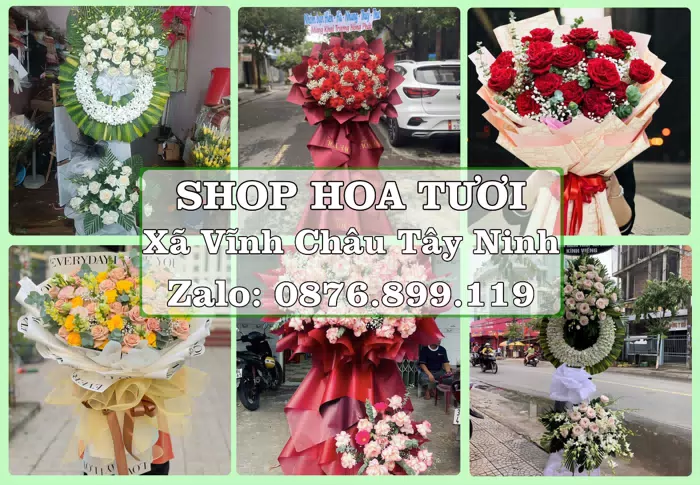 Shop hoa tươi tại Xã Vĩnh Châu Tây Ninh – Hoa xinh, trái cây cho những dịp gần gũi · ảnh 1
