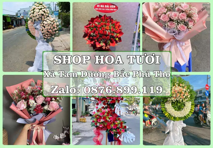 Shop hoa tươi tại Xã Tam Dương Bắc Phú Thọ – Hoa chúc mừng, quà biếu theo nhu cầu · ảnh 1