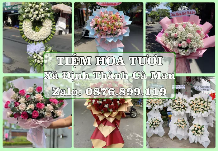 Shop hoa tươi tại Xã Định Thành Cà Mau – Hoa xinh, trái cây cho những dịp gần gũi · ảnh 1