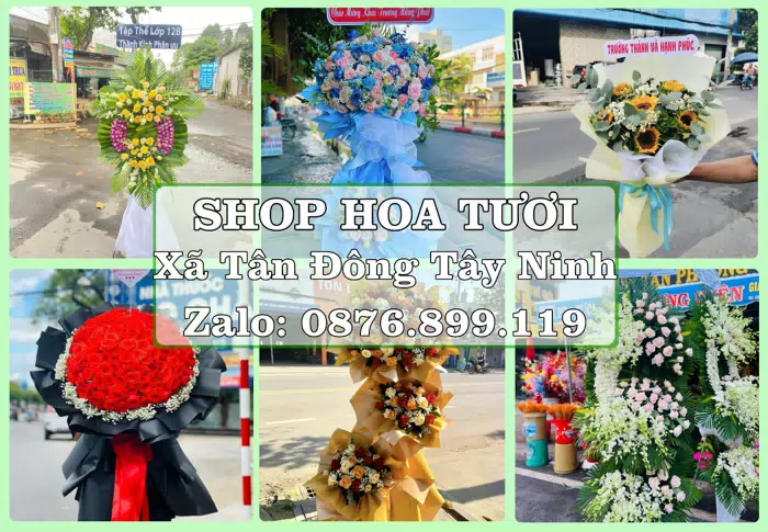 Shop hoa tươi tại Xã Tân Đông Tây Ninh – Gửi lời quan tâm bằng hoa và trái cây · ảnh 1