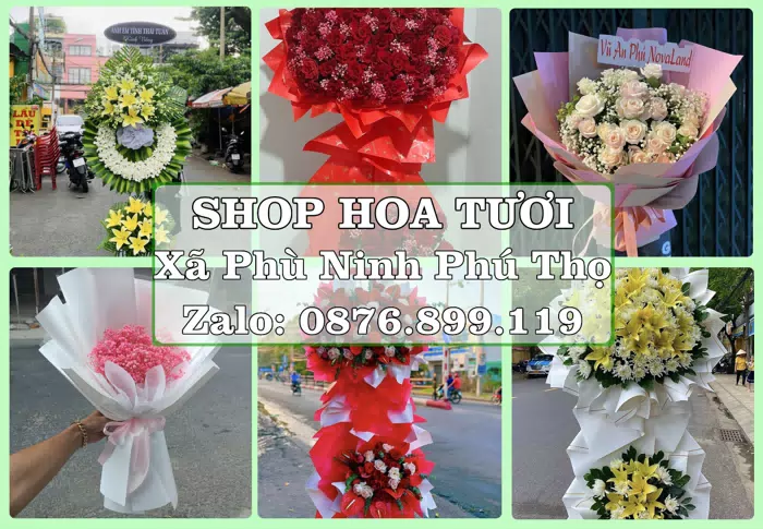Shop hoa tươi tại Xã Phù Ninh Phú Thọ – Chọn hoa, chọn giỏ quà thật chu đáo · ảnh 1
