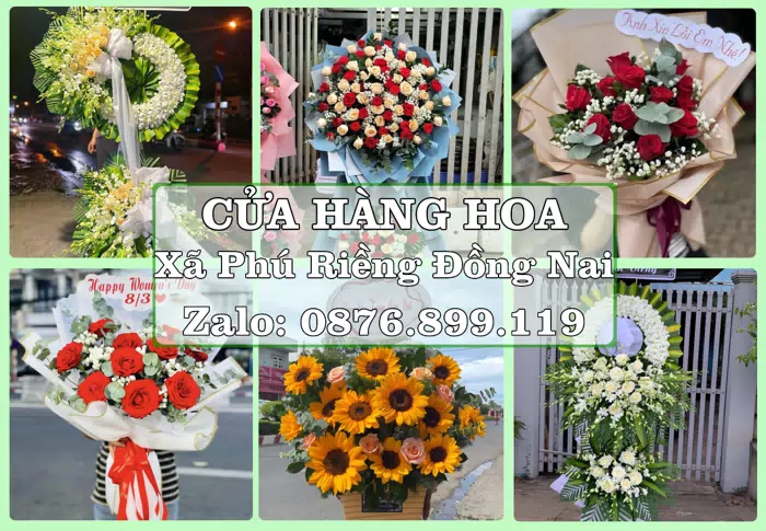 Shop hoa tươi tại Xã Phú Riềng Đồng Nai – Đặt quà gửi người thân từ xa · ảnh 1