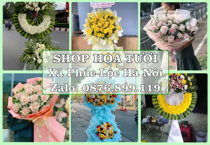Shop hoa tươi tại Xã Phúc Lộc Hà Nội – Hoa xinh, trái cây cho những dịp gần gũi · ảnh 1