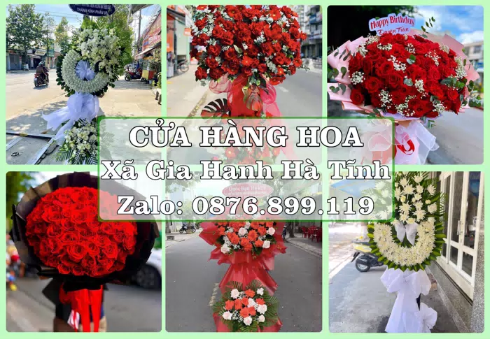 Shop hoa tươi tại Xã Gia Hanh Hà Tĩnh – Chuẩn bị hoa và quà cho dịp sắp tới · ảnh 1