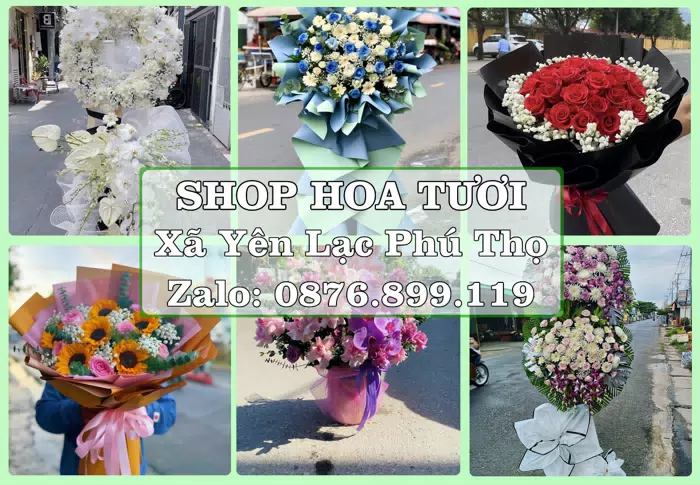 Shop hoa tươi tại Xã Yên Lạc Phú Thọ – Hoa xinh, trái cây cho những dịp gần gũi · ảnh 1