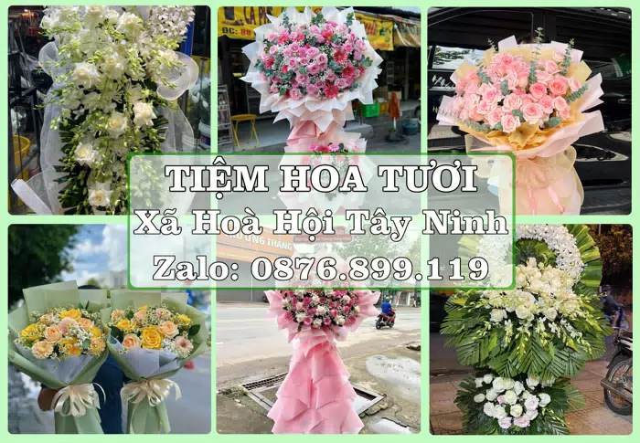 Shop hoa tươi tại Xã Hoà Hội Tây Ninh – Hoa tươi và trái cây, dễ chọn theo từng dịp · ảnh 1