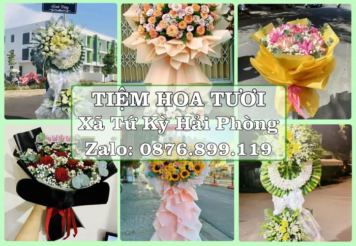 Shop hoa tươi tại Xã Tứ Kỳ Hải Phòng – Hoa chúc mừng, quà biếu theo nhu cầu · ảnh 1
