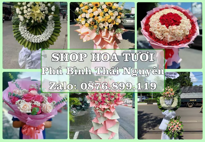 Shop hoa tươi tại Phú Bình Thái Nguyên – Tư vấn hoa và trái cây theo ngân sách · ảnh 1