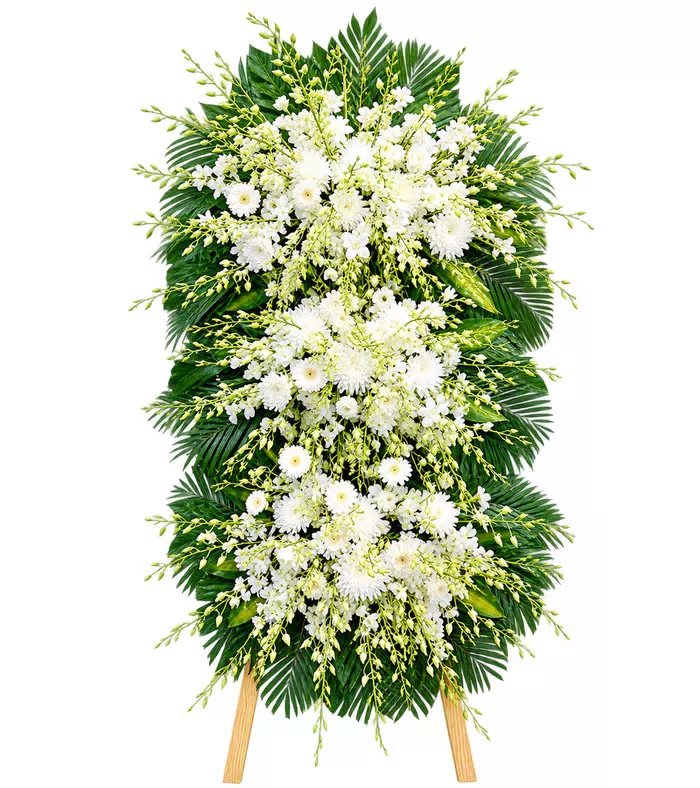 Thương Tiếc – kệ hoa phân ưu trắng xanh · 1471