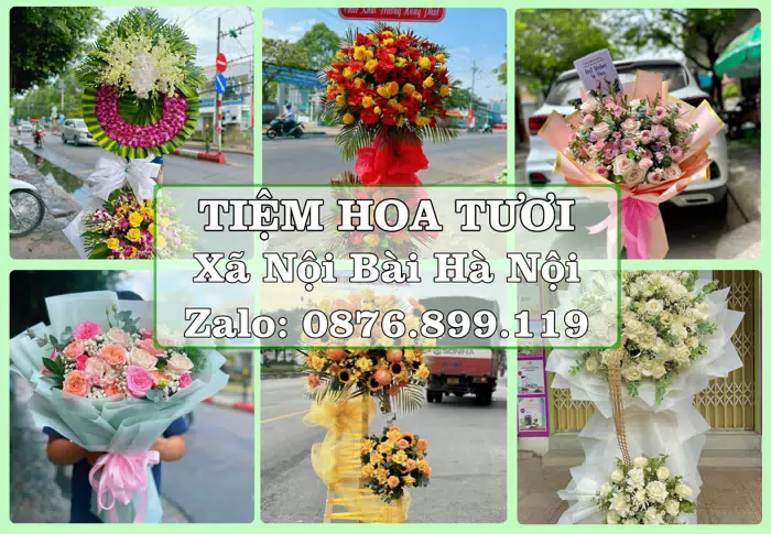Shop hoa tươi tại Xã Nội Bài Hà Nội – Hoa xinh, trái cây cho những dịp gần gũi · ảnh 1