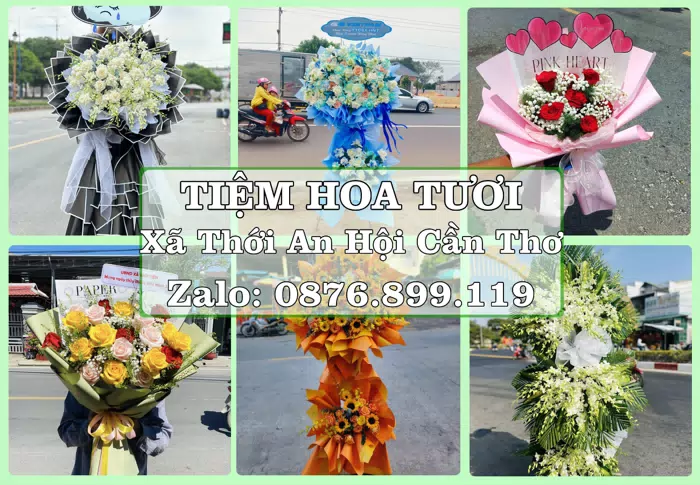 Shop hoa tươi tại Xã Thới An Hội Cần Thơ – Hoa xinh, trái cây cho những dịp gần gũi · ảnh 1