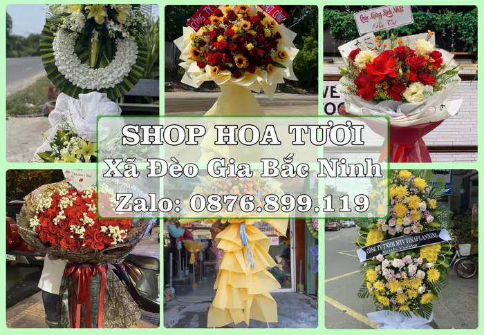 Shop hoa tươi tại Xã Đèo Gia Bắc Ninh – Chọn hoa, chọn giỏ quà thật chu đáo · ảnh 1