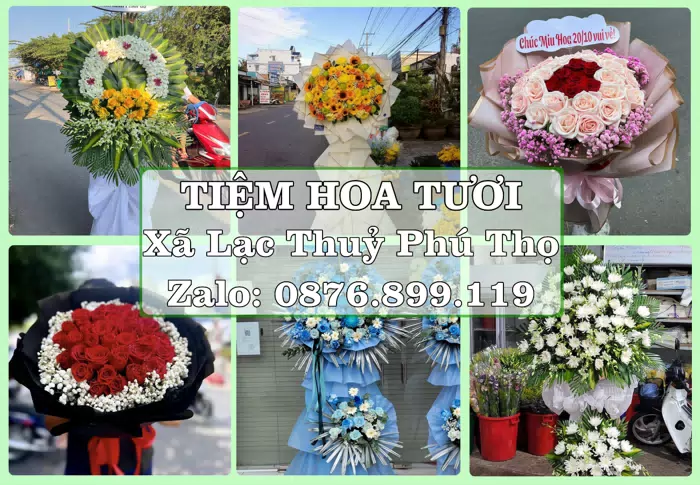 Shop hoa tươi tại Xã Lạc Thuỷ Phú Thọ – Gửi lời quan tâm bằng hoa và trái cây · ảnh 1