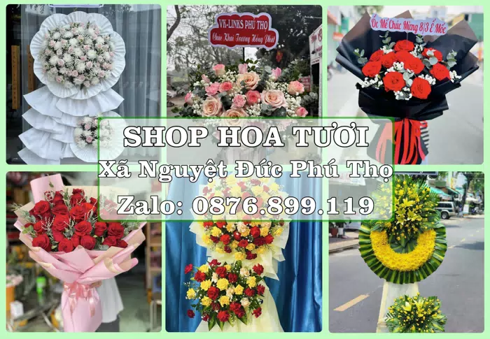 Shop hoa tươi tại Xã Nguyệt Đức Phú Thọ – Chọn hoa, chọn giỏ quà thật chu đáo · ảnh 1