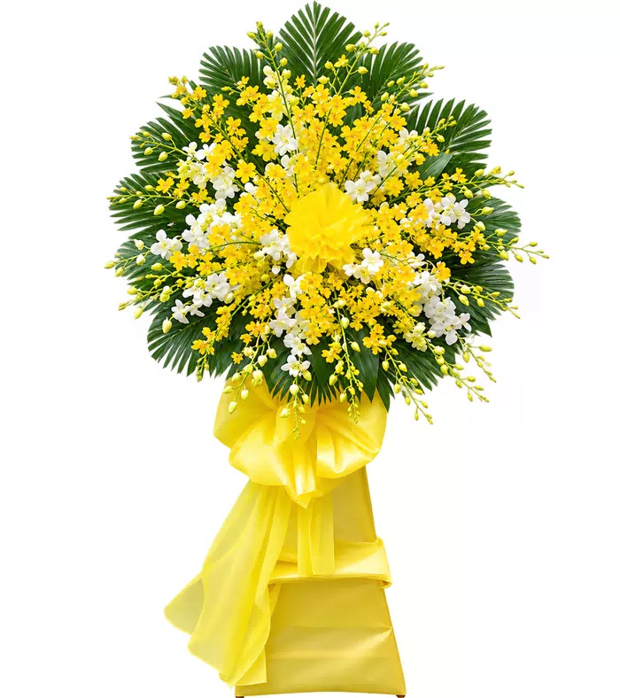 Nghĩa Cũ – kệ hoa phân ưu vàng trắng