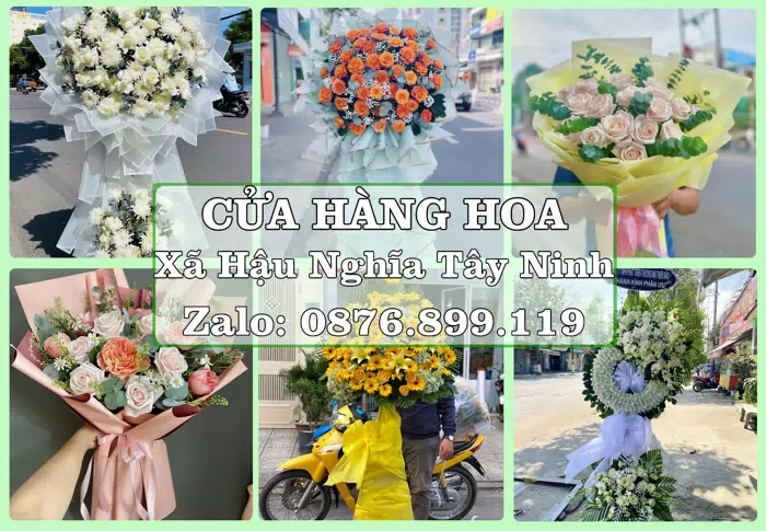 Shop hoa tươi tại Xã Hậu Nghĩa Tây Ninh – Chọn hoa, chọn giỏ quà thật chu đáo · ảnh 1