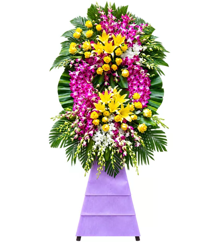 An Nhiên – kệ hoa phân ưu ly vàng tím