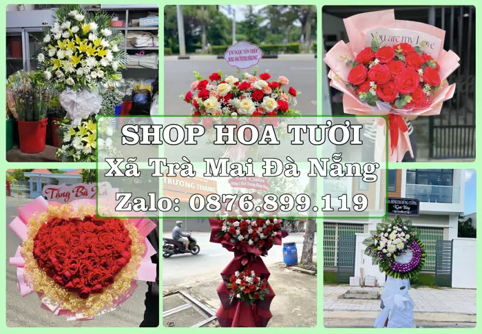 Shop hoa tươi tại Xã Trà Mai Đà Nẵng – Từ bó hoa tặng đến giỏ trái cây biếu · ảnh 1
