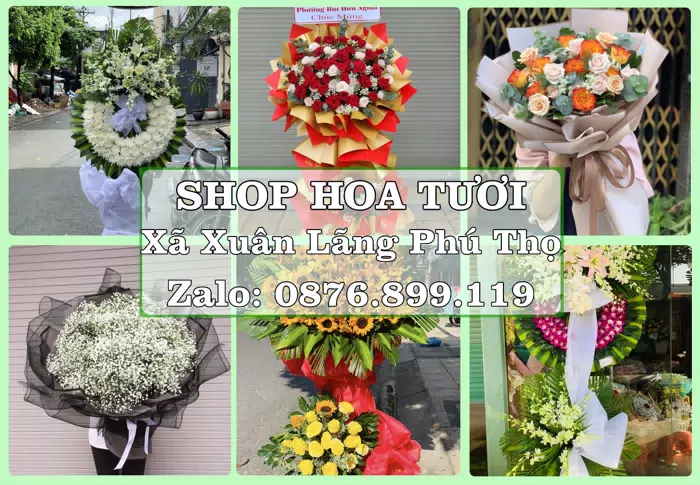 Shop hoa tươi tại Xã Xuân Lãng Phú Thọ – Gửi lời quan tâm bằng hoa và trái cây · ảnh 1