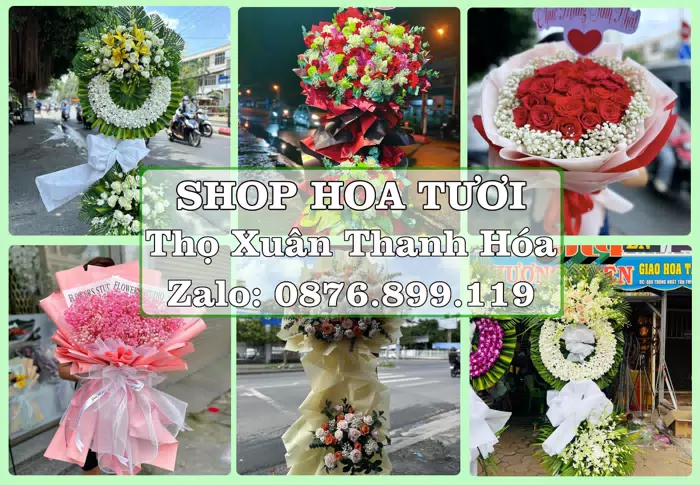 Shop hoa tươi tại Thọ Xuân Thanh Hóa – Tư vấn hoa và trái cây theo ngân sách · ảnh 1