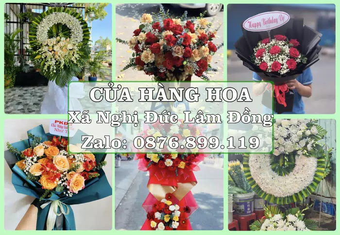 Shop hoa tươi tại Xã Nghị Đức Lâm Đồng – Gửi lời quan tâm bằng hoa và trái cây · ảnh 1