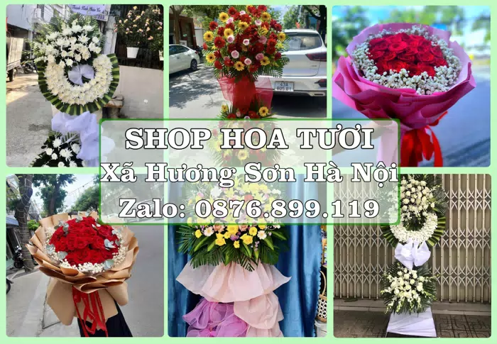 Shop hoa tươi tại Xã Hương Sơn Hà Nội – Từ bó hoa tặng đến giỏ trái cây biếu · ảnh 1