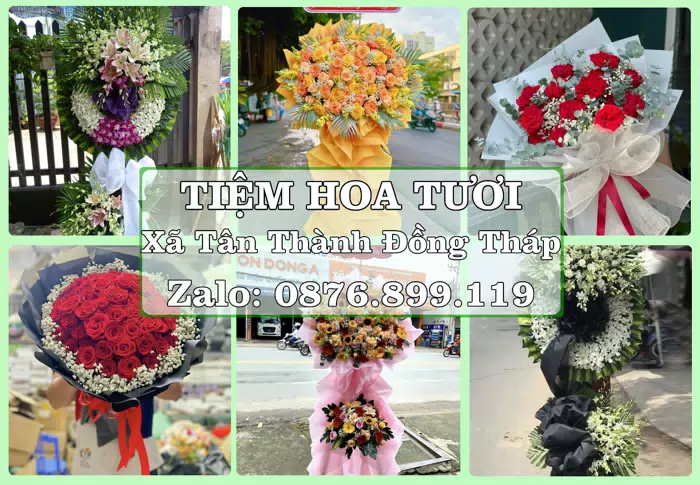 Shop hoa tươi tại Xã Tân Thành Đồng Tháp – Gửi lời quan tâm bằng hoa và trái cây · ảnh 1