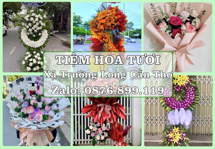 Shop hoa tươi tại Xã Trường Long Cần Thơ – Tìm món quà hợp dịp, hợp người nhận · ảnh 1