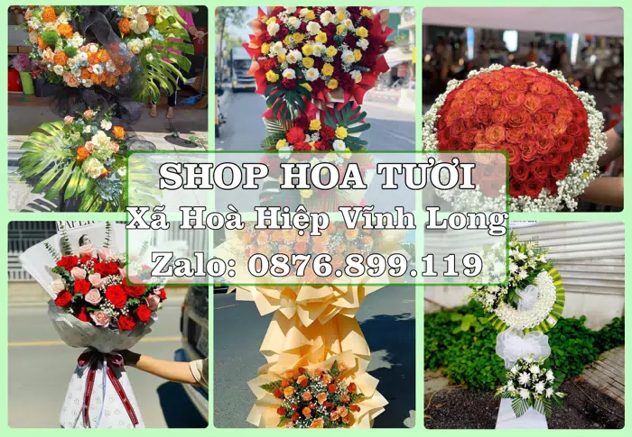 Shop hoa tươi tại Xã Hoà Hiệp Vĩnh Long – Tư vấn hoa và trái cây theo ngân sách · ảnh 1