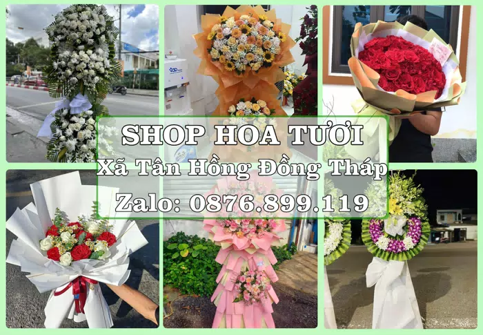 Shop hoa tươi tại Xã Tân Hồng Đồng Tháp – Tìm món quà hợp dịp, hợp người nhận · ảnh 1
