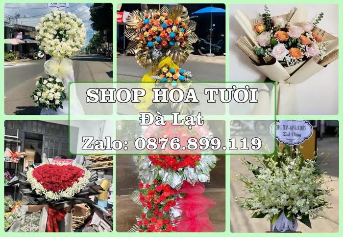 Shop hoa tươi tại Đà Lạt – Tìm món quà hợp dịp, hợp người nhận · ảnh 1