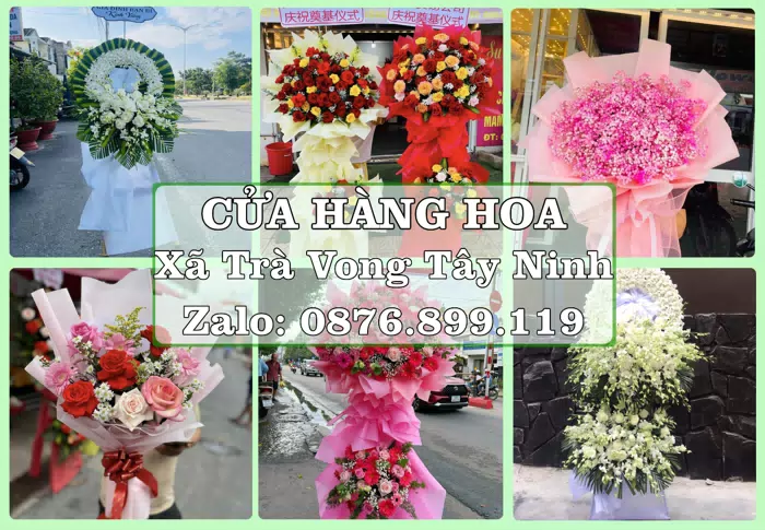 Shop hoa tươi tại Xã Trà Vong Tây Ninh – Chọn hoa, chọn giỏ quà thật chu đáo · ảnh 1