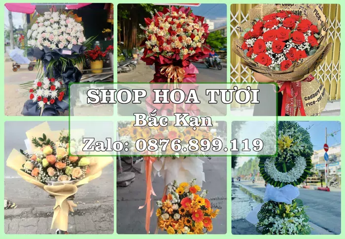 Shop hoa tươi tại Bắc Kạn – Gửi lời quan tâm bằng hoa và trái cây · ảnh 1