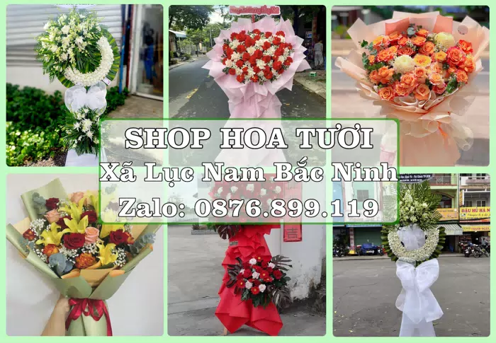 Shop hoa tươi tại Xã Lục Nam Bắc Ninh – Hoa chúc mừng, quà biếu theo nhu cầu · ảnh 1