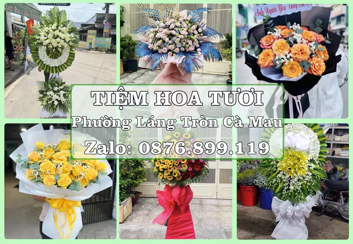 Shop hoa tươi tại Phường Láng Tròn Cà Mau – Tư vấn hoa và trái cây theo ngân sách · ảnh 1