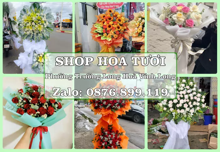 Shop hoa tươi tại Phường Trường Long Hoà Vĩnh Long – Tư vấn hoa và trái cây theo ngân sách · ảnh 1