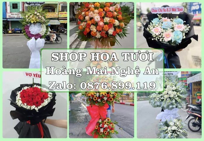 Shop hoa tươi tại Hoàng Mai Nghệ An – Từ bó hoa tặng đến giỏ trái cây biếu · ảnh 1