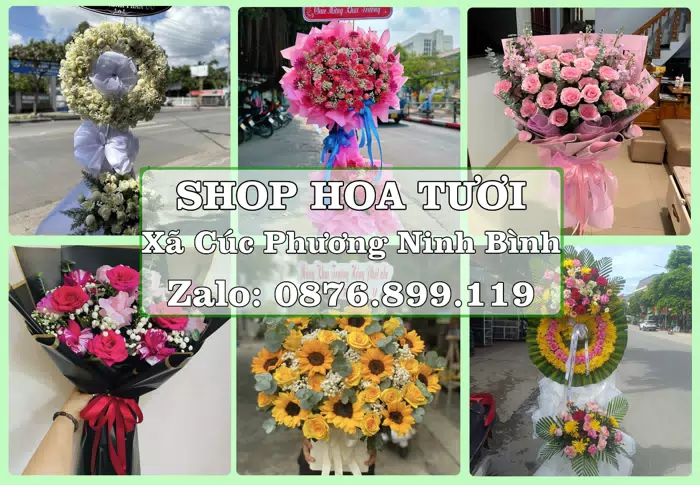 Shop hoa tươi tại Xã Cúc Phương Ninh Bình – Hoa xinh, trái cây cho những dịp gần gũi · ảnh 1