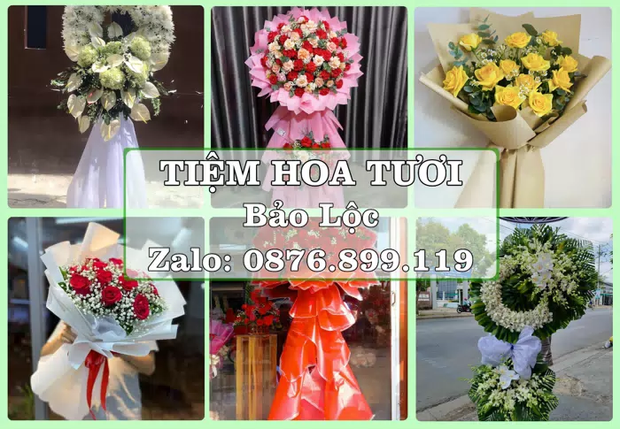 Shop hoa tươi tại Bảo Lộc – Gửi lời quan tâm bằng hoa và trái cây · ảnh 1