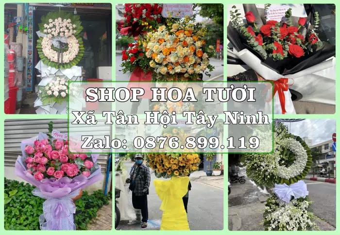 Shop hoa tươi tại Xã Tân Hội Tây Ninh – Chuẩn bị hoa và quà cho dịp sắp tới · ảnh 1
