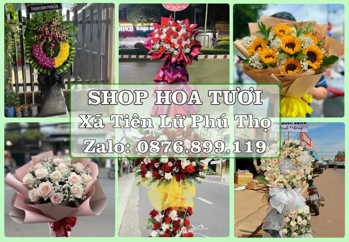 Shop hoa tươi tại Xã Tiên Lữ Phú Thọ – Tư vấn hoa và trái cây theo ngân sách · ảnh 1