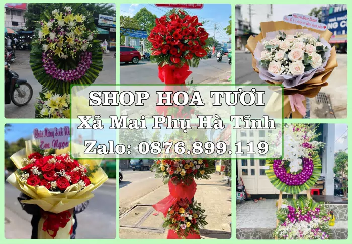 Shop hoa tươi tại Xã Mai Phụ Hà Tĩnh – Chọn hoa, chọn giỏ quà thật chu đáo · ảnh 1
