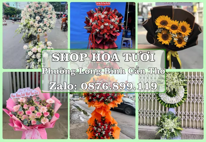 Shop hoa tươi tại Phường Long Bình Cần Thơ – Gửi lời quan tâm bằng hoa và trái cây · ảnh 1