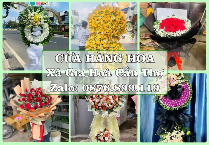 Shop hoa tươi tại Xã Gia Hoà Cần Thơ – Tư vấn hoa và trái cây theo ngân sách · ảnh 1