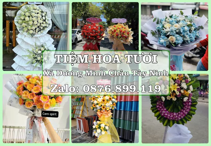 Shop hoa tươi tại Xã Dương Minh Châu Tây Ninh – Tìm món quà hợp dịp, hợp người nhận · ảnh 1