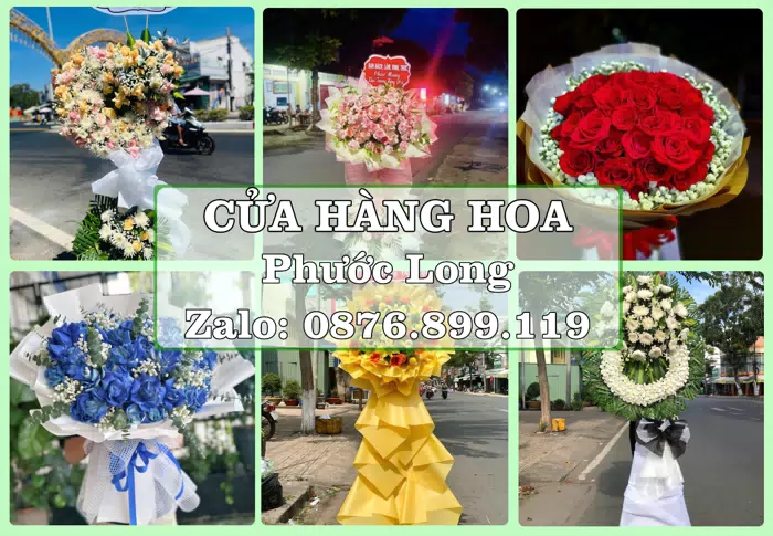 Shop hoa tươi tại Phước Long – Từ bó hoa tặng đến giỏ trái cây biếu · ảnh 1