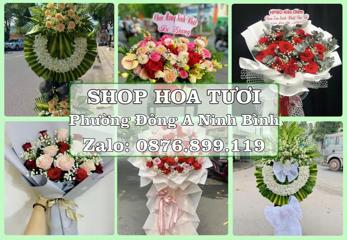 Shop hoa tươi tại Phường Đông A Ninh Bình – Hoa xinh, trái cây cho những dịp gần gũi · ảnh 1
